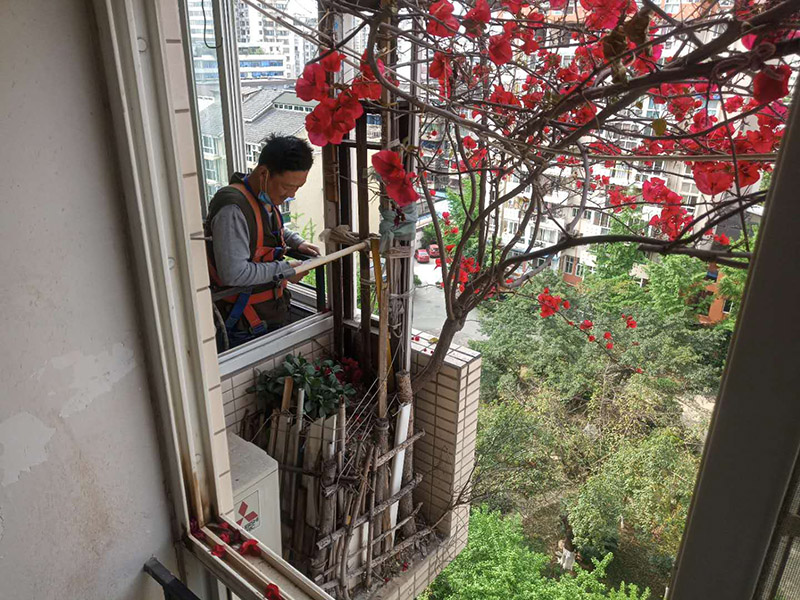 陽臺(tái)植物拆除:將陽臺(tái)和客廳打通。很多人想擴(kuò)大自家客廳面積，改善采光情況，因此就選擇打通陽臺(tái)和客廳，這并不是完全不行的，但是要考慮戶型的實(shí)際情況。有的戶型陽臺(tái)的墻是用來抗震的，如果拆掉，短期看不出問題，但是長(zhǎng)期使用必然會(huì)影響房子的承載能力，遇到嚴(yán)重災(zāi)禍的時(shí)候，就完全無法抵抗了。